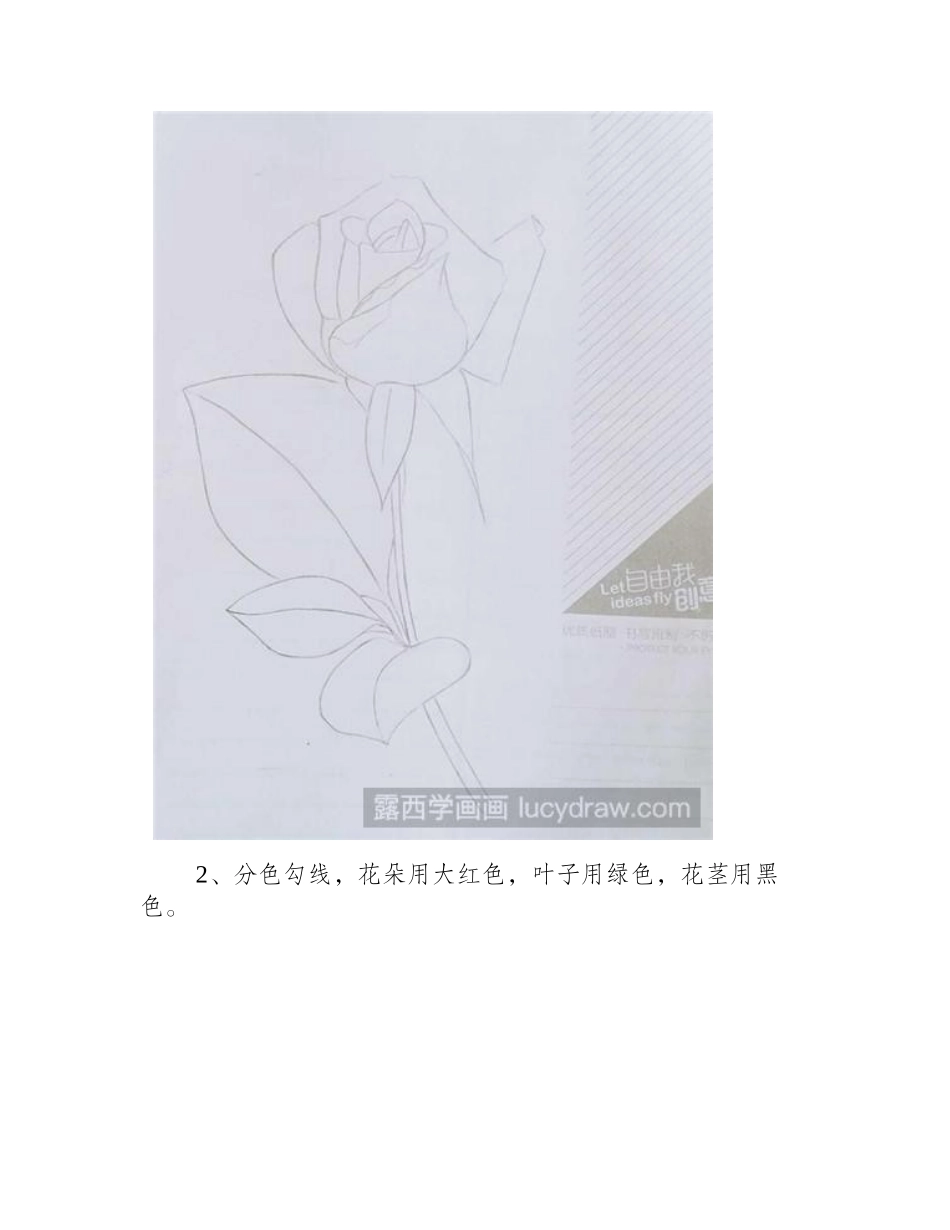 教你用圆珠笔画一朵玫瑰简笔画教程_第2页