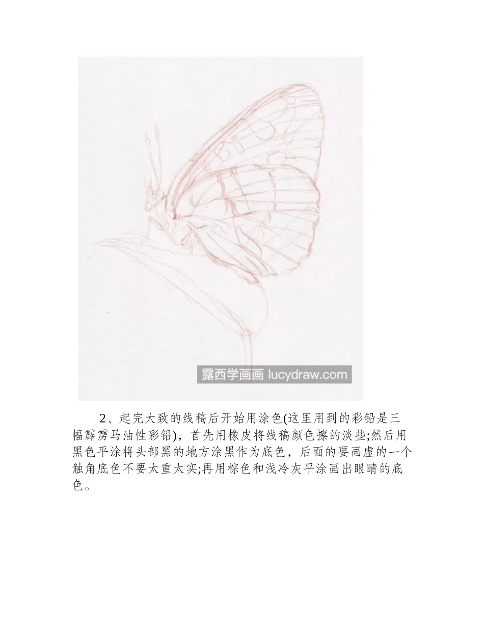 黑蝴蝶怎么画_超级详细的彩铅教程分享彩铅画教程_第2页