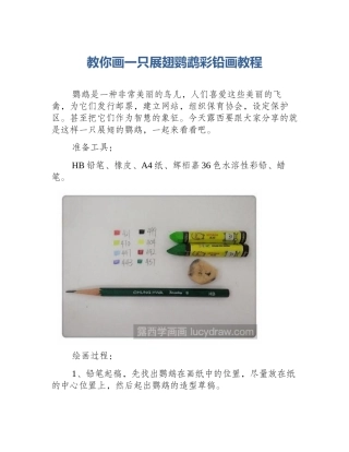 教你画一只展翅鹦鹉彩铅画教程