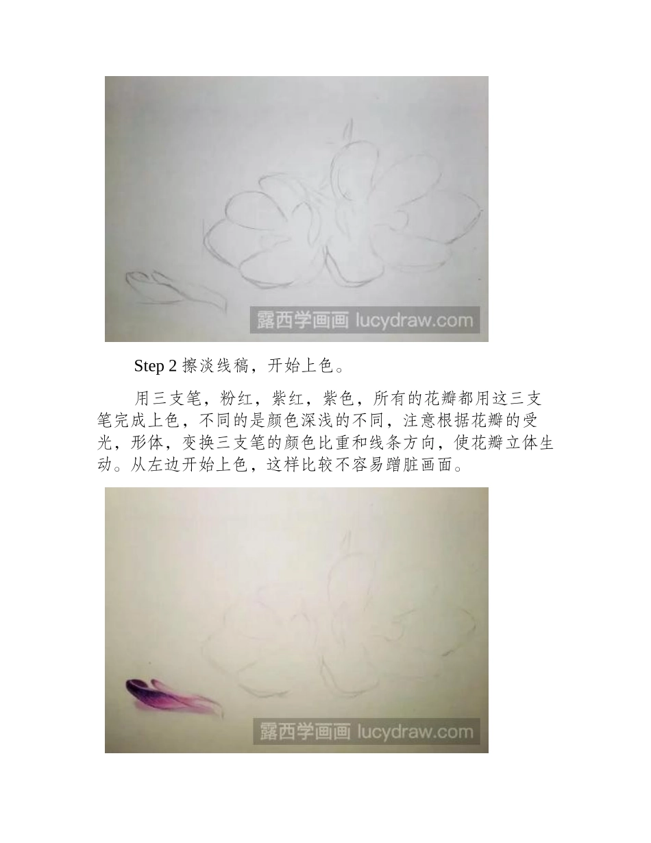 教你用彩铅画紫色小花彩铅画教程1_第2页