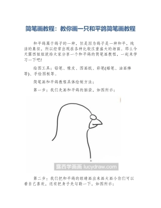 简笔画教程：教你画一只和平鸽简笔画教程