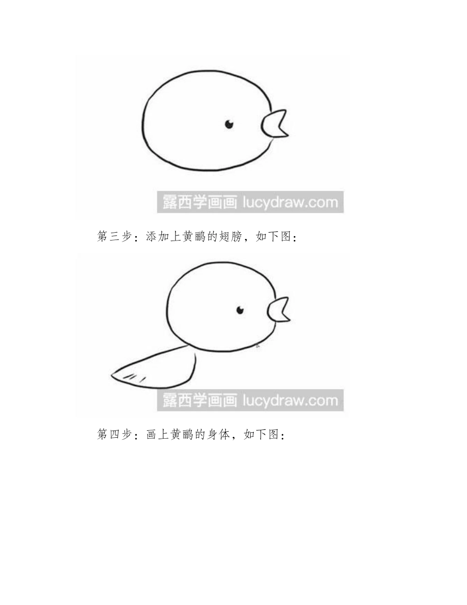 简笔画教程怎么画小黄鹂简笔画教程_第2页