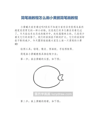简笔画教程怎么画小黄鹂简笔画教程