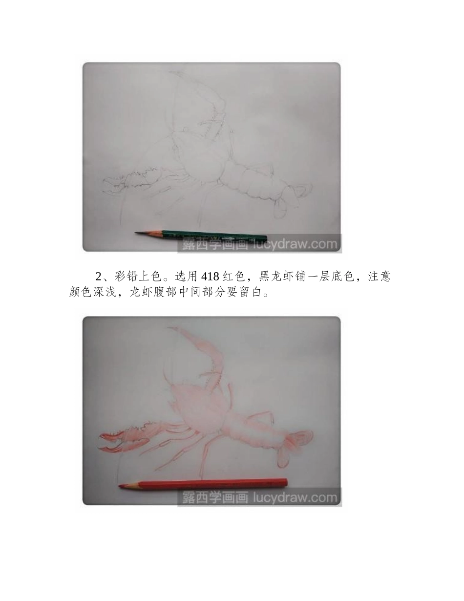 教你画大龙虾彩铅画教程1_第2页