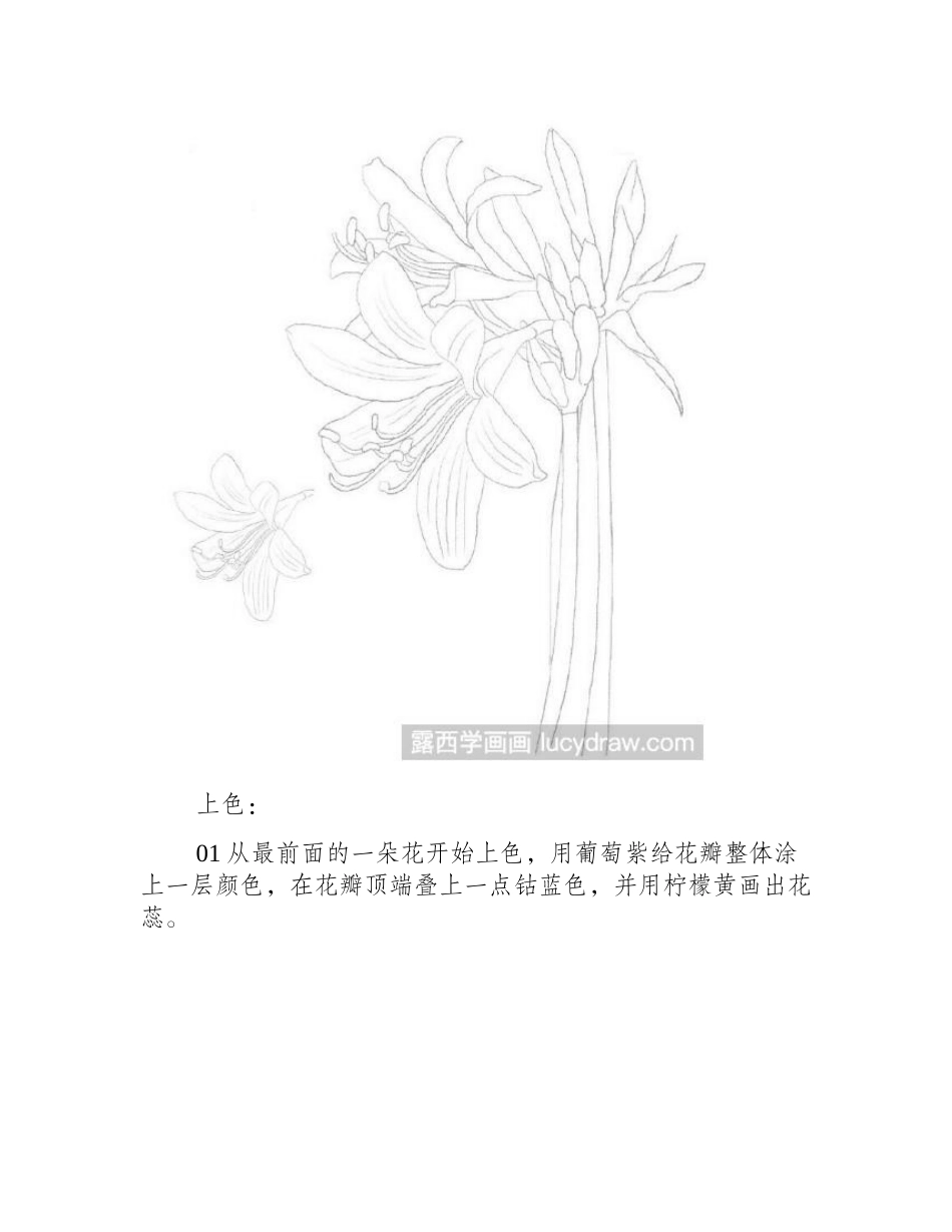 换锦花彩铅教程彩铅画教程_第2页