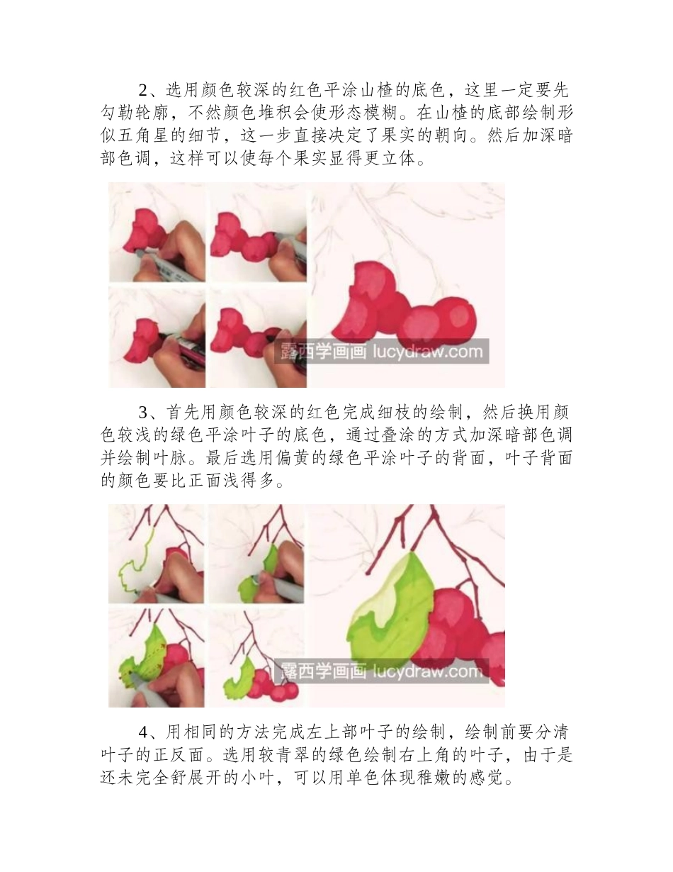 红色山楂怎么画_绘画要点有哪些_儿童画教程_第2页