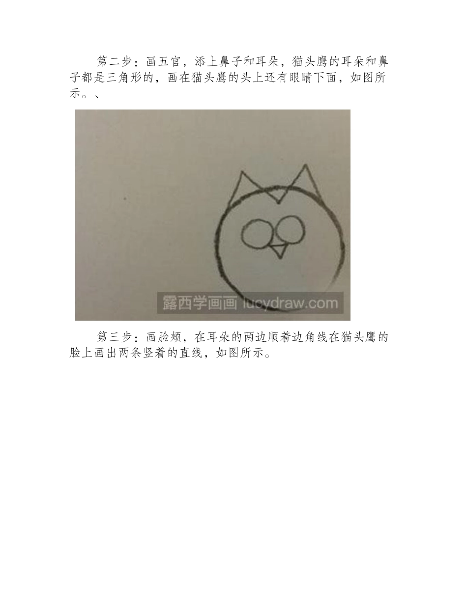 教大家画简笔画猫头鹰简笔画教程_第2页