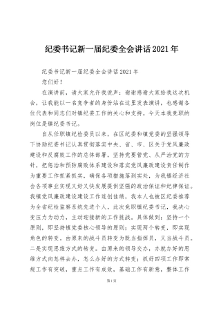 纪委书记新一届纪委全会讲话2021年