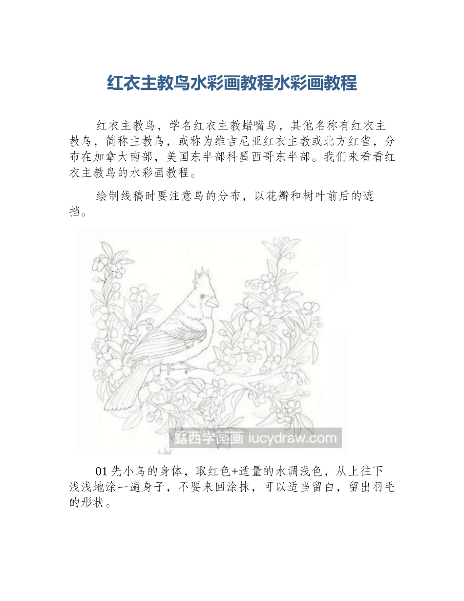 红衣主教鸟水彩画教程水彩画教程_第1页