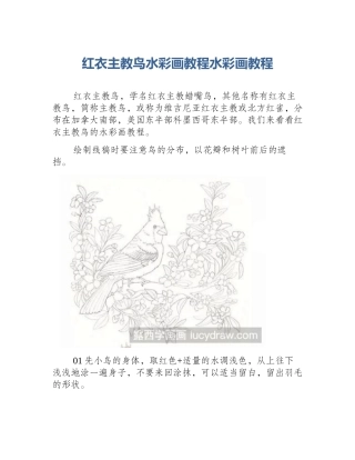 红衣主教鸟水彩画教程水彩画教程