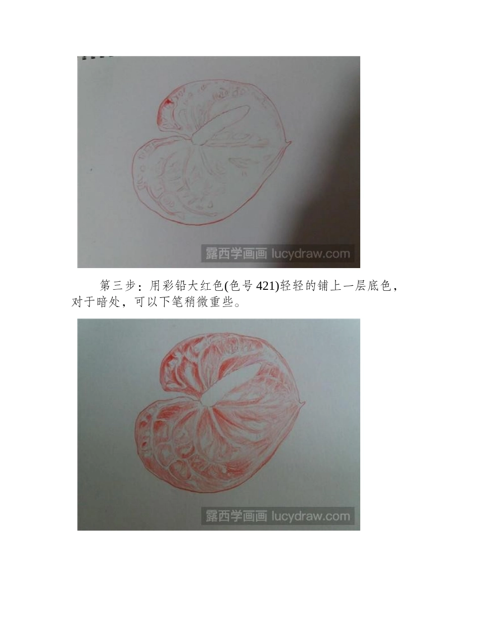 红掌怎么画彩铅画教程1_第2页