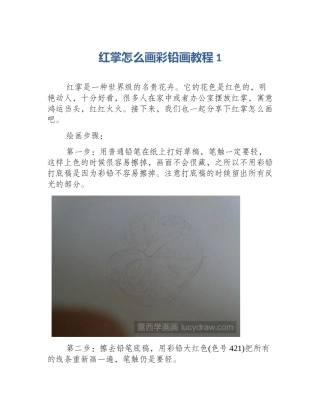 红掌怎么画彩铅画教程1