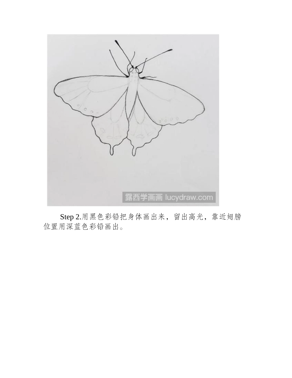 蝴蝶彩铅画步骤彩铅画教程1_第2页