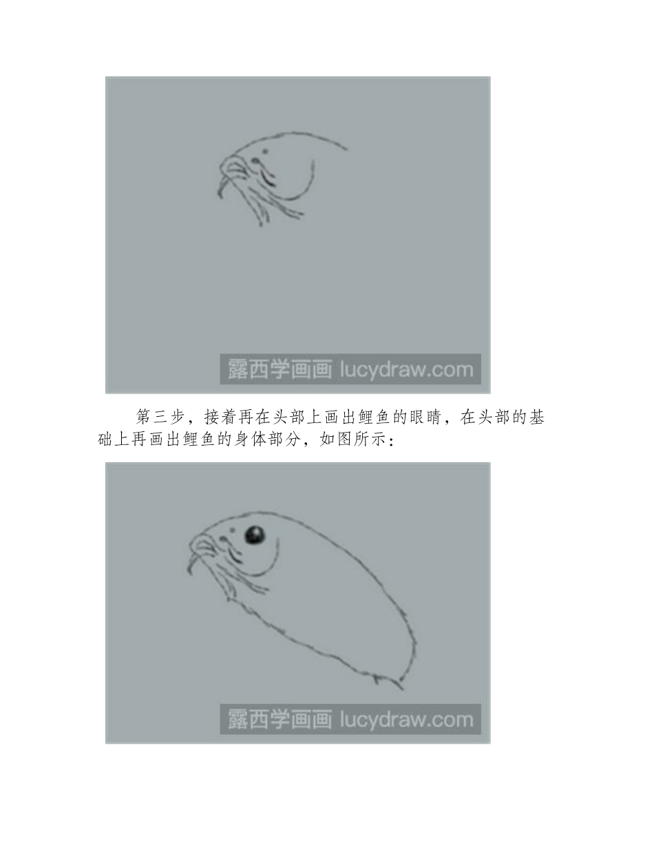 绘画教程：如何画鲤鱼简笔画教程_第2页