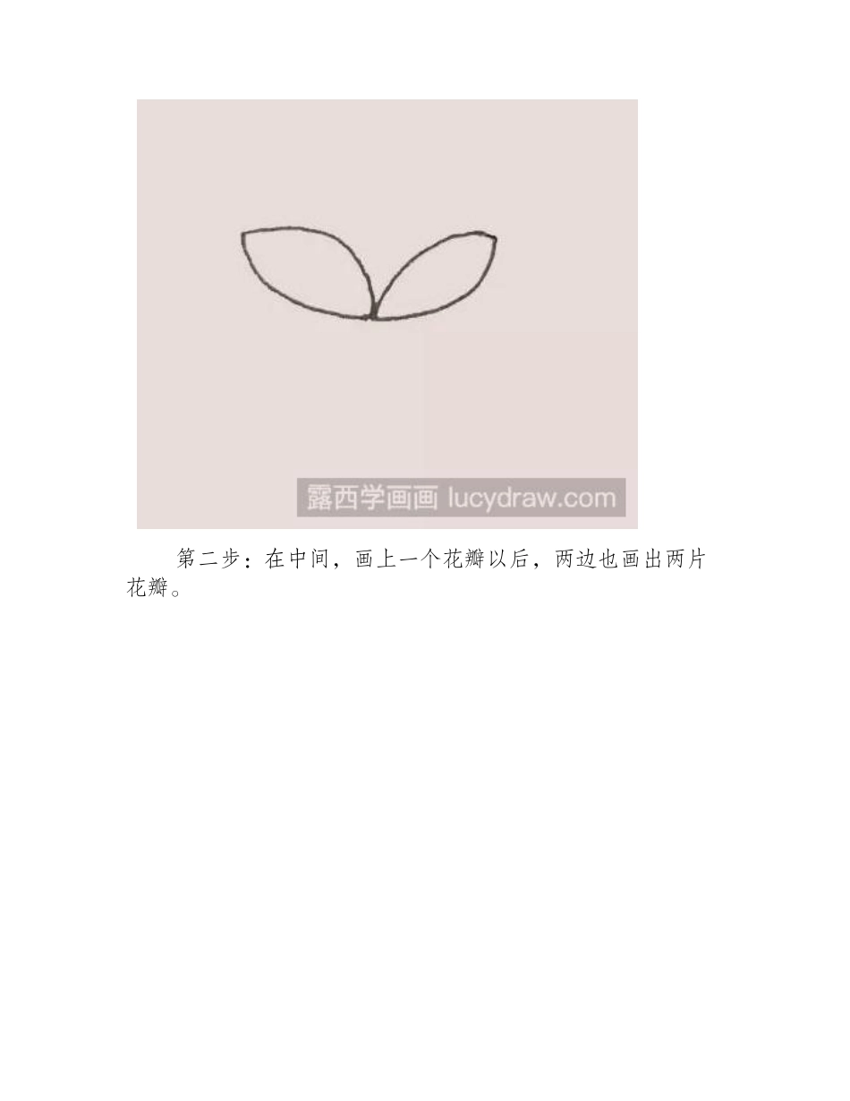 荷花简笔画教程简笔画教程_第2页