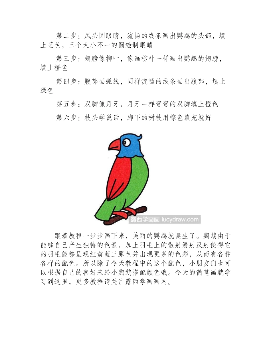 简笔画教程：如何画鹦鹉简笔画教程_第2页
