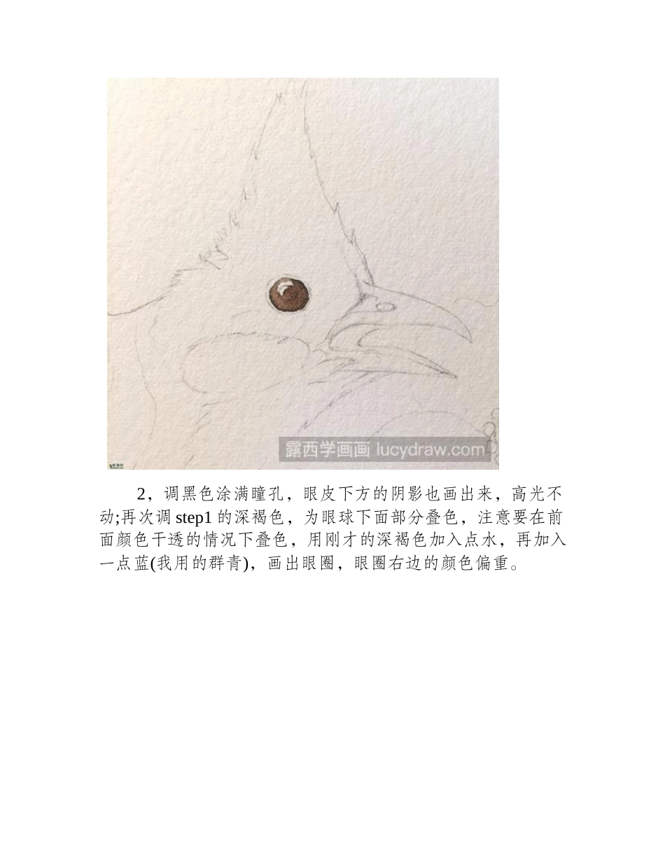 红耳鹎水彩画教程水彩画教程_第2页
