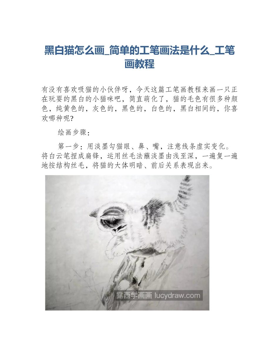 黑白猫怎么画_简单的工笔画法是什么_工笔画教程_第1页