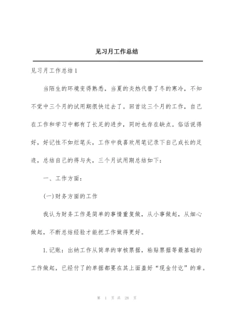 见习月工作总结