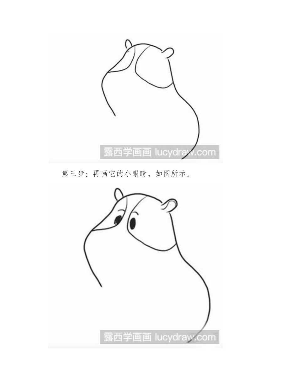 简笔画教程怎么画豚鼠简笔画教程_第2页