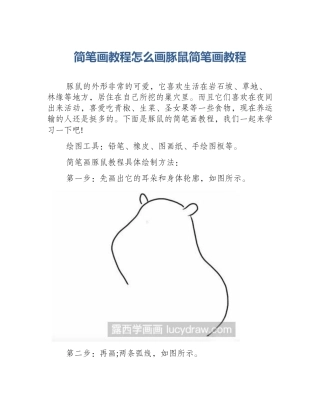 简笔画教程怎么画豚鼠简笔画教程