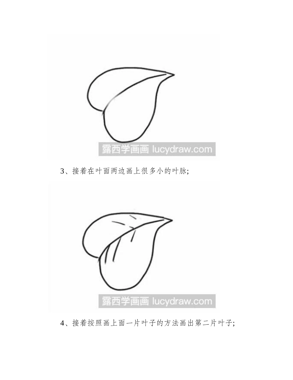 简笔画教程怎么画四叶草简笔画教程_第2页
