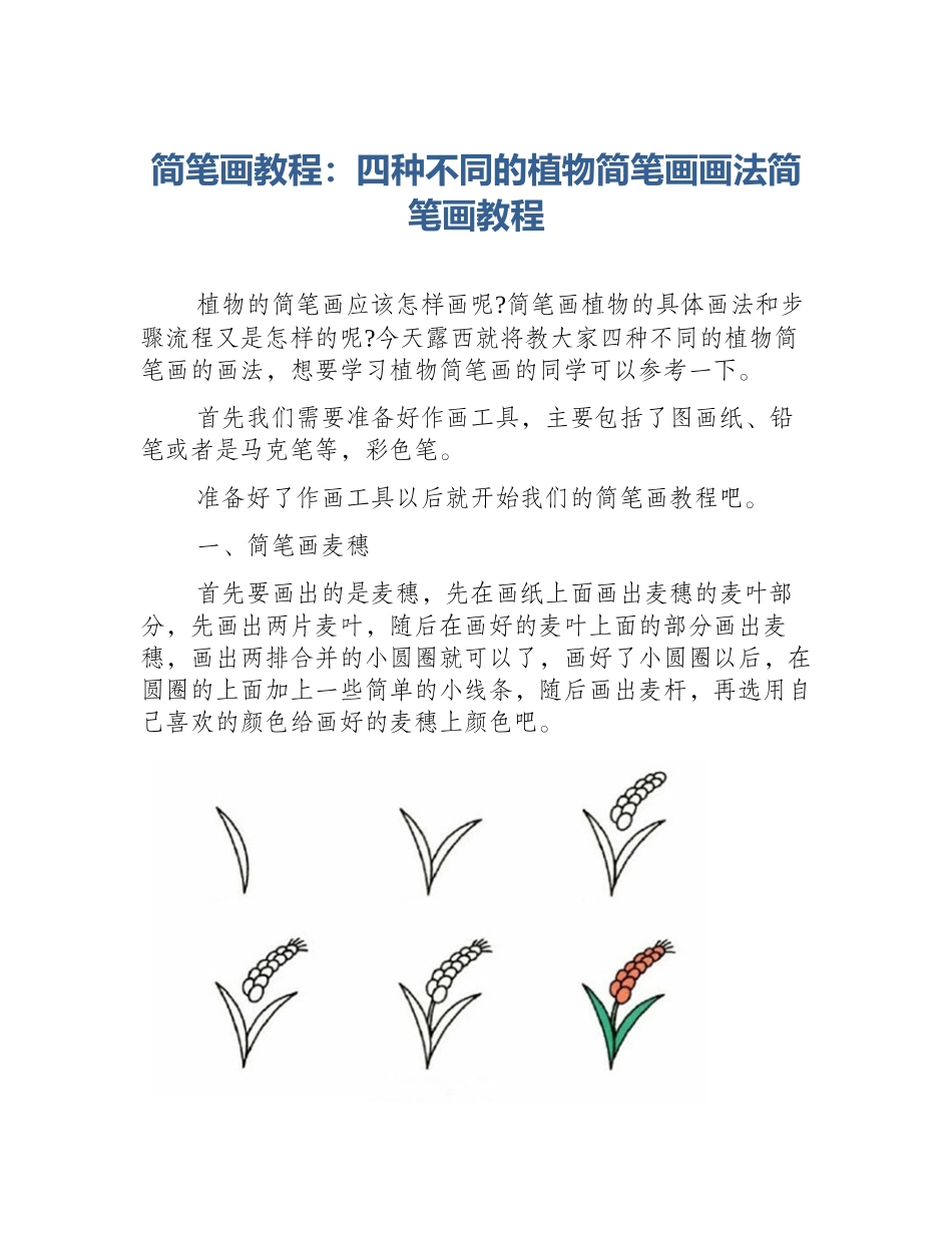 简笔画教程：四种不同的植物简笔画画法简笔画教程_第1页