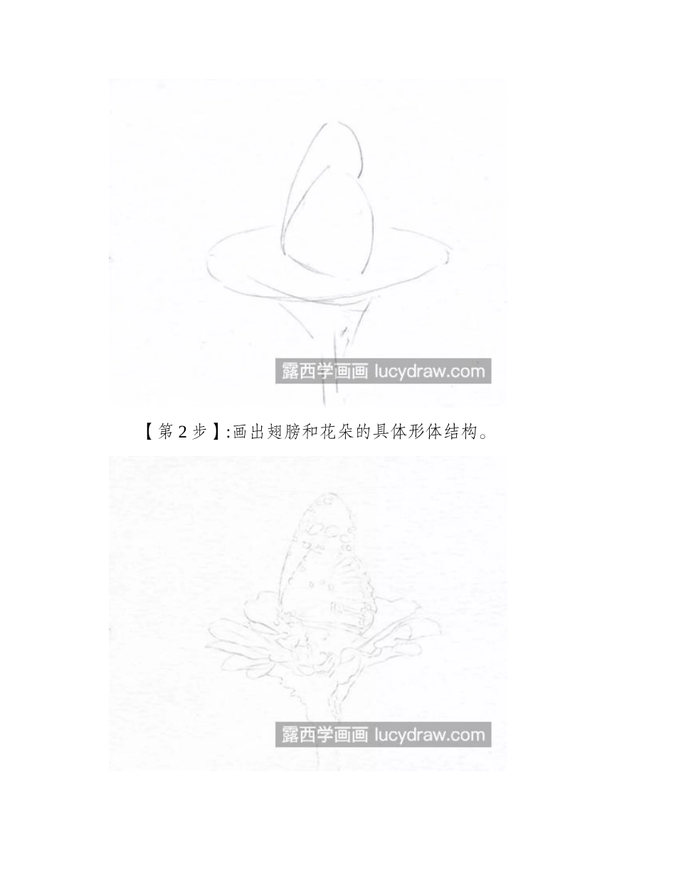 花上的蝴蝶怎么画_怎么画出蝴蝶的灵动_彩铅画教程_第2页