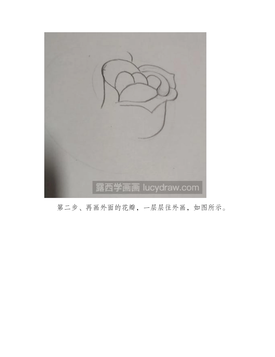 教你画玫瑰花简笔画教程_第2页