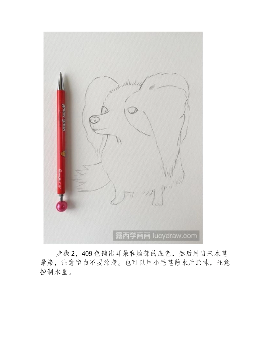蝴蝶犬彩铅画教程彩铅画教程_第2页