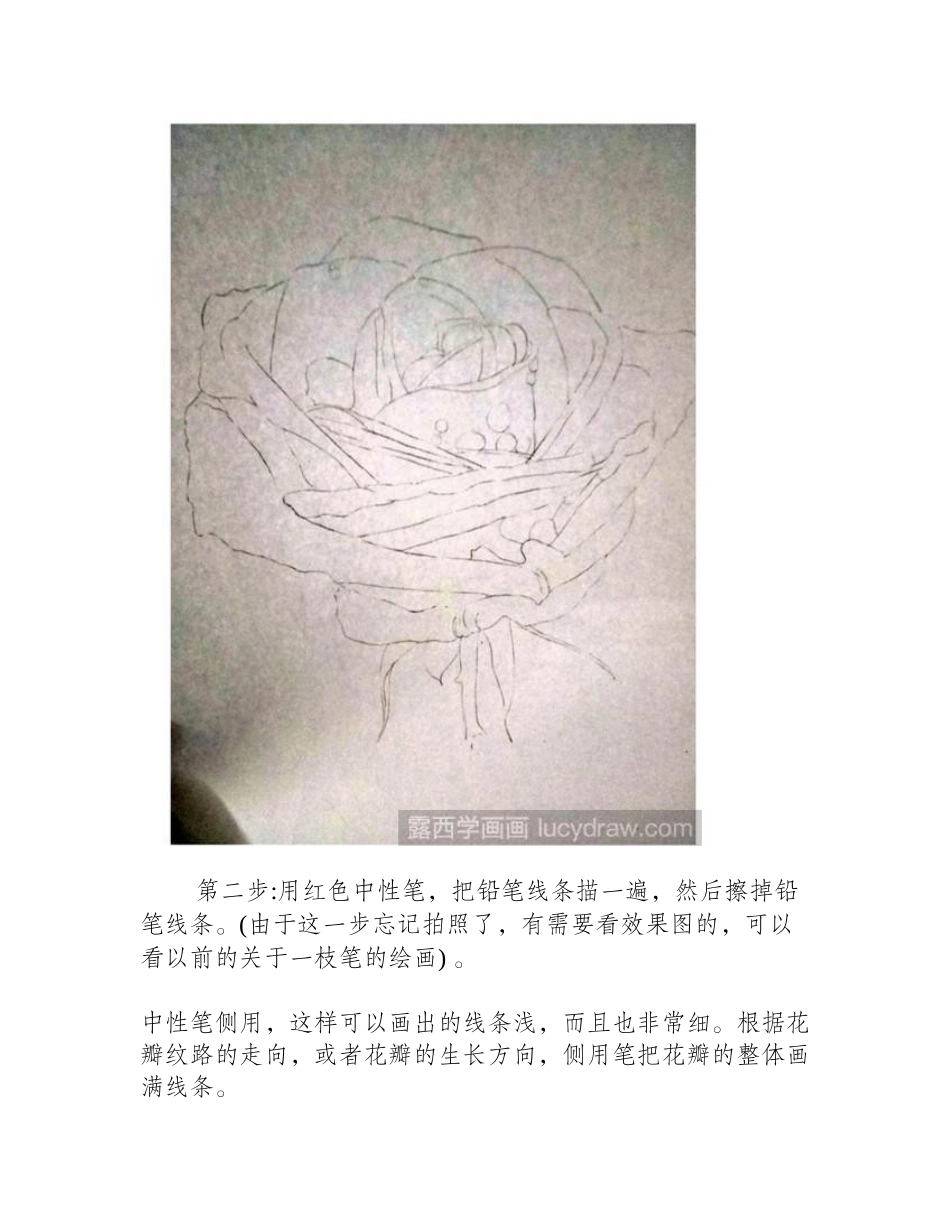 红玫瑰插画教程插画教程_第2页