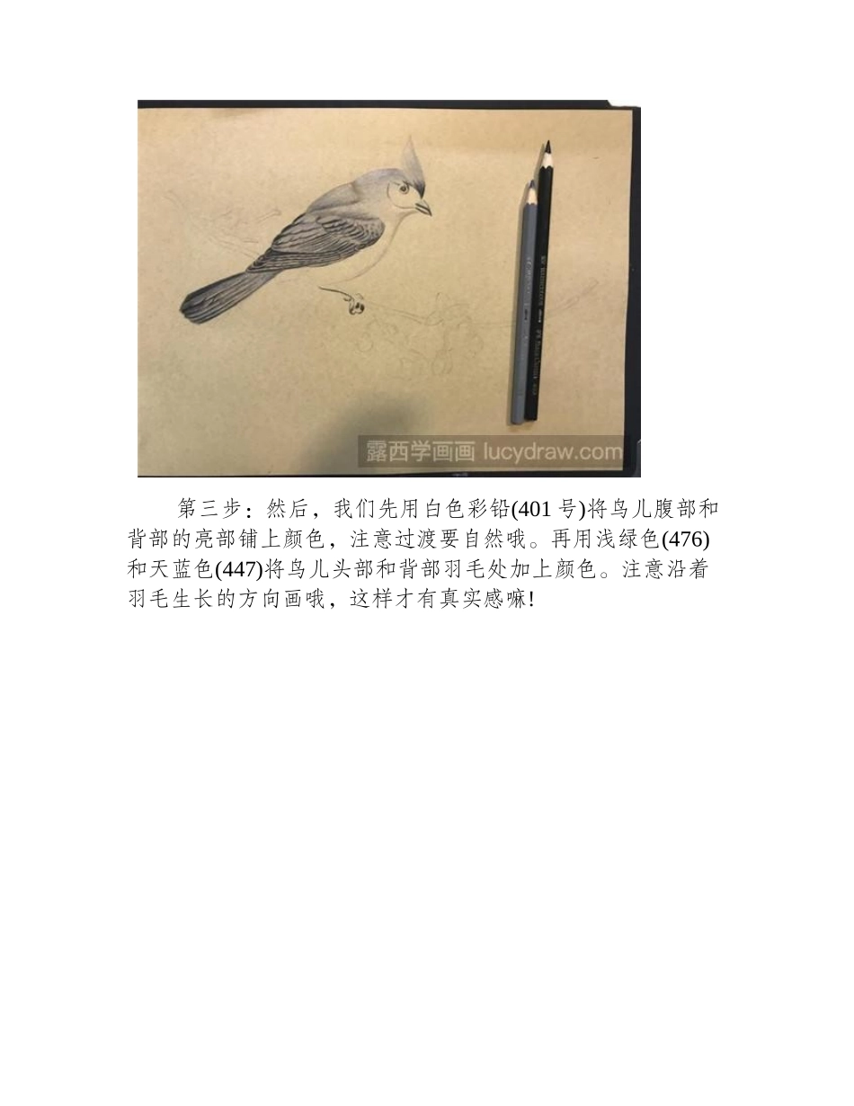 画眉彩铅画教程彩铅画教程_第2页