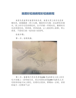 画眉彩铅画教程彩铅画教程