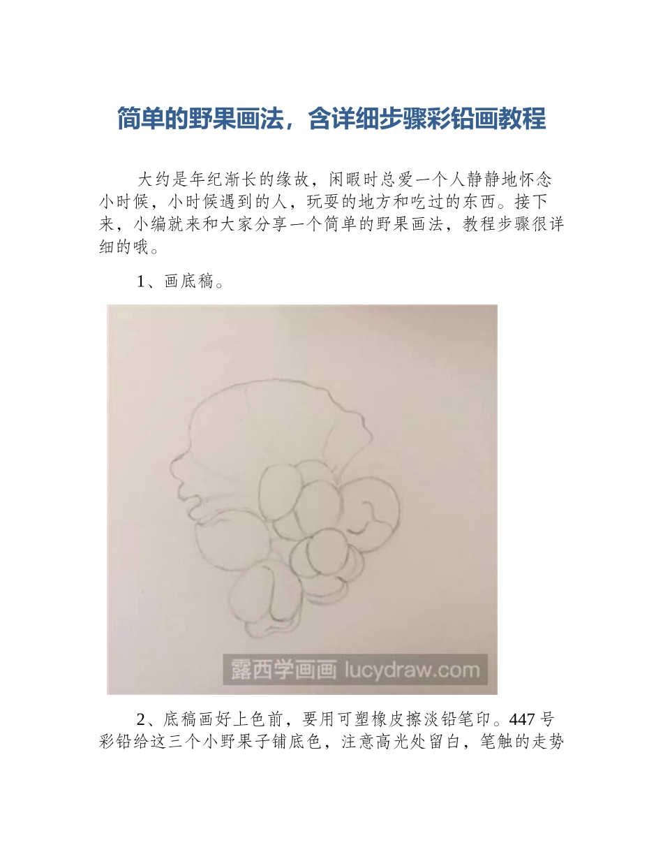 简单的野果画法，含详细步骤彩铅画教程_第1页