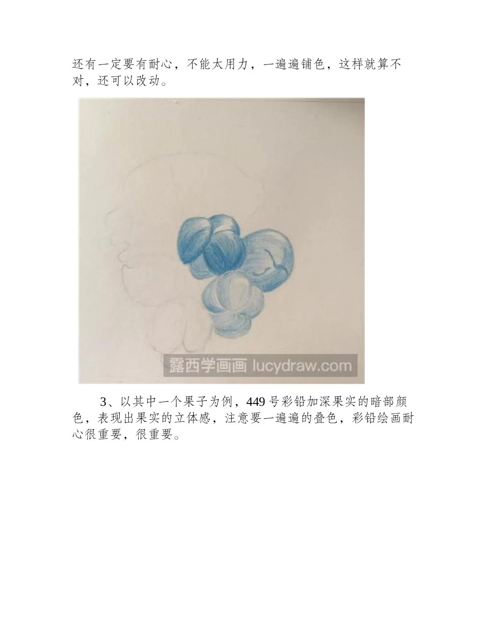 简单的野果画法，含详细步骤彩铅画教程_第2页