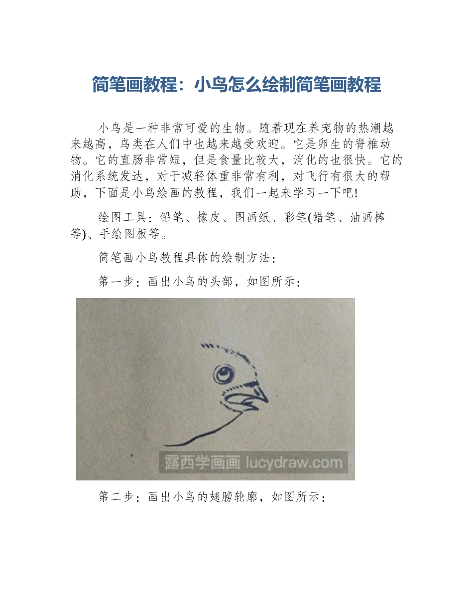简笔画教程：小鸟怎么绘制简笔画教程_第1页