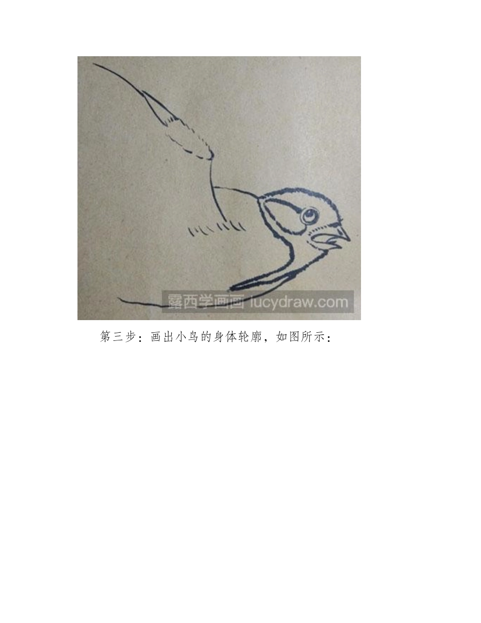 简笔画教程：小鸟怎么绘制简笔画教程_第2页
