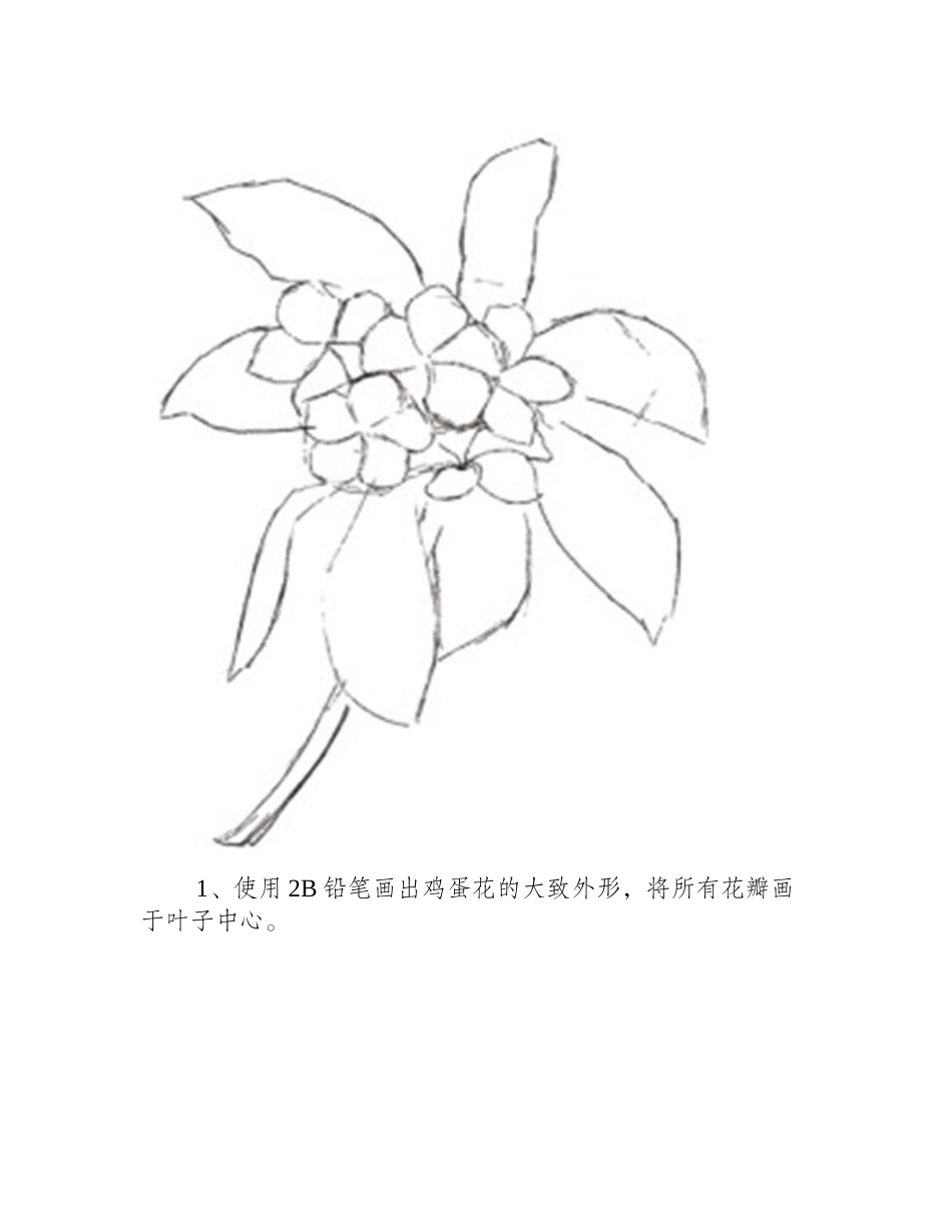 鸡蛋花怎么画_水粉画花卉画法图解水粉画教程2_第2页