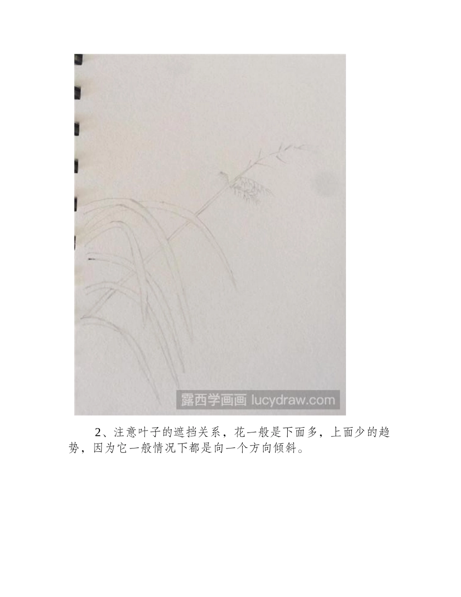 简笔画芦苇怎么画简笔画教程1_第2页
