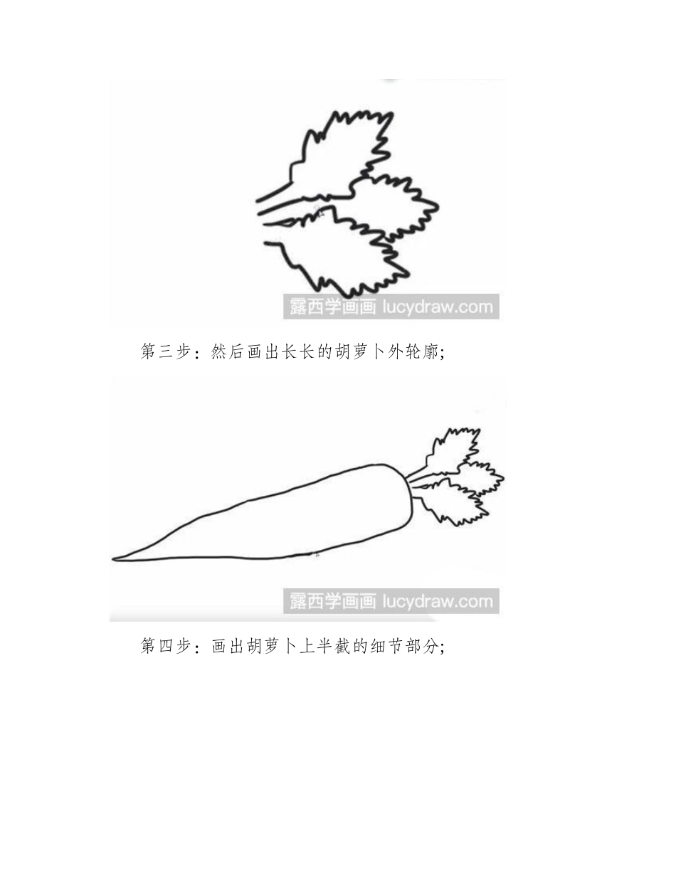 胡萝卜怎么画简笔画教程_第2页