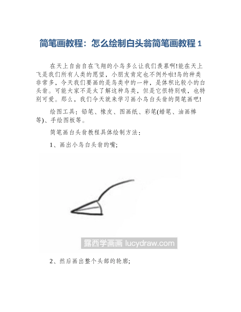 简笔画教程：怎么绘制白头翁简笔画教程1_第1页