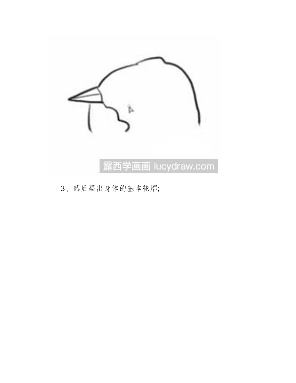 简笔画教程：怎么绘制白头翁简笔画教程1_第2页