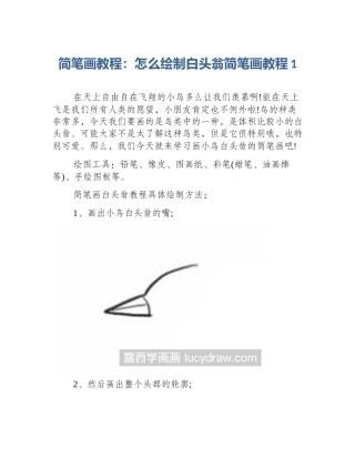 简笔画教程：怎么绘制白头翁简笔画教程1