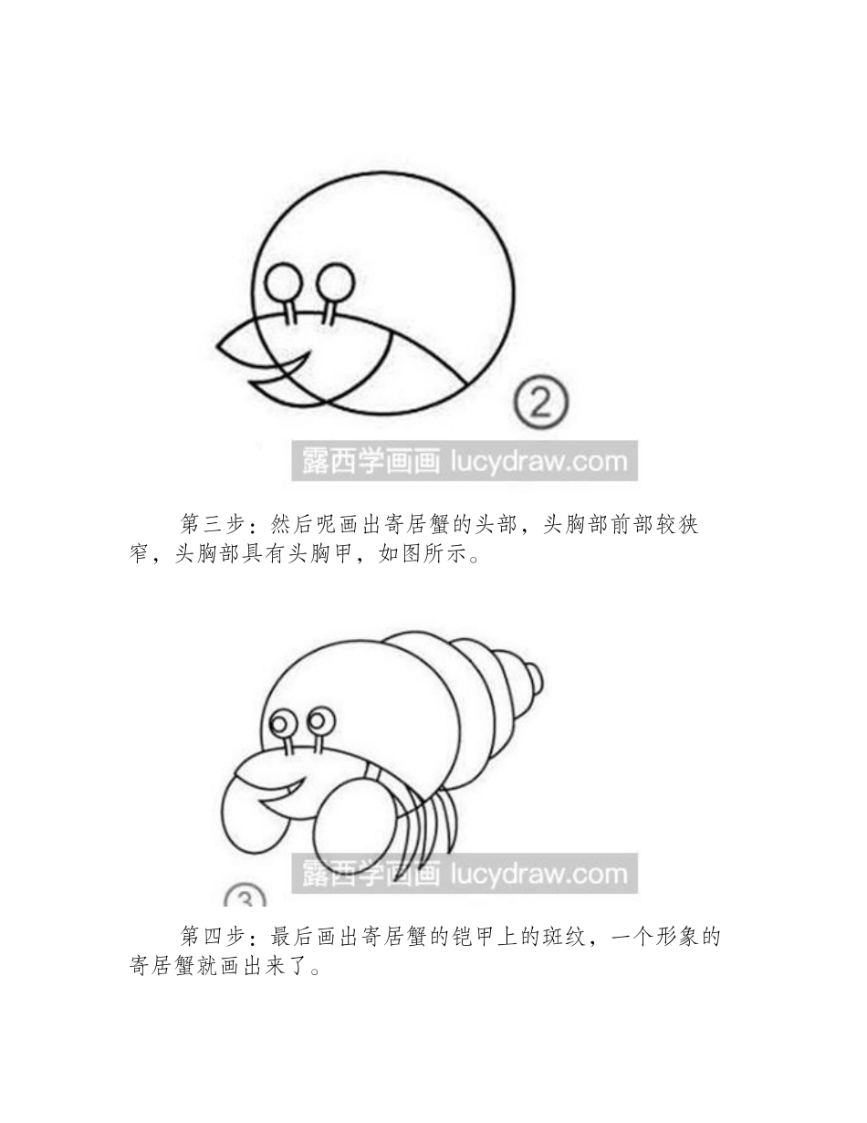 简笔画教程：寄居蟹的画法简笔画教程_第2页
