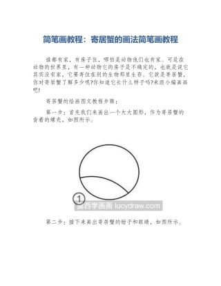 简笔画教程：寄居蟹的画法简笔画教程