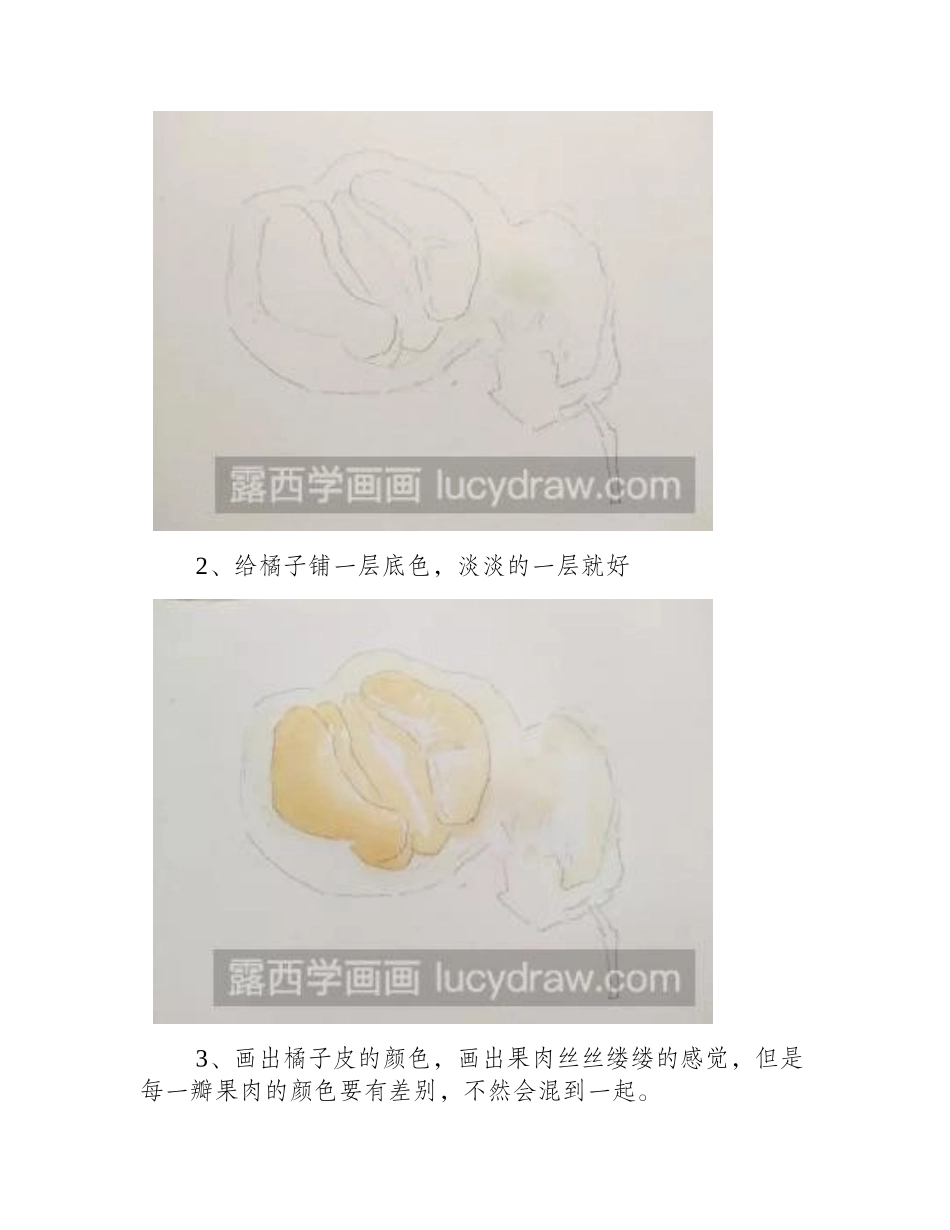 教你用水彩画剥开的橘子水彩画教程_第2页