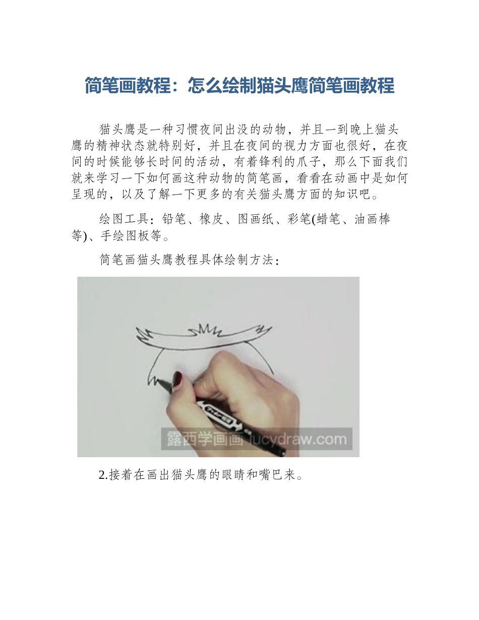 简笔画教程：怎么绘制猫头鹰简笔画教程_第1页