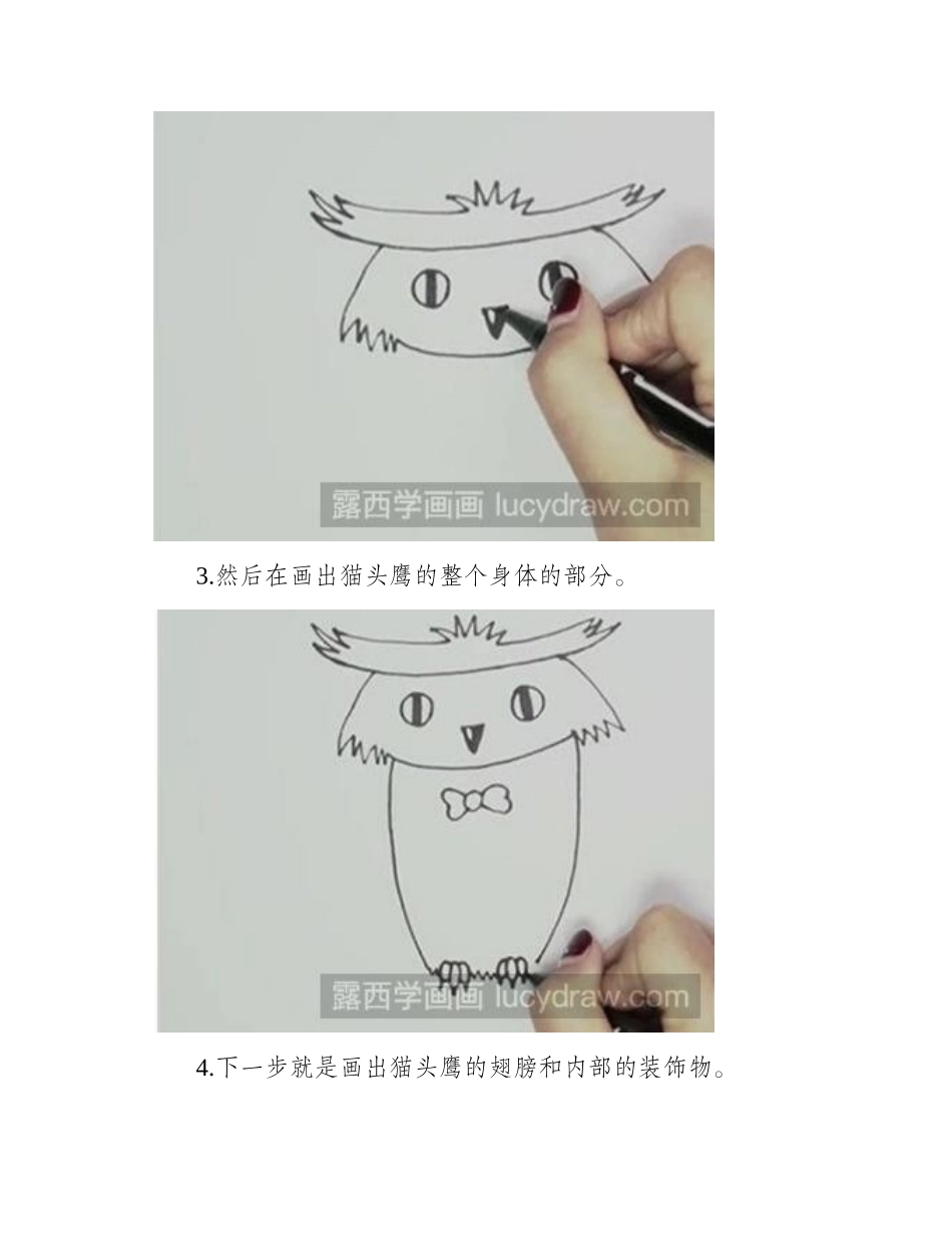 简笔画教程：怎么绘制猫头鹰简笔画教程_第2页