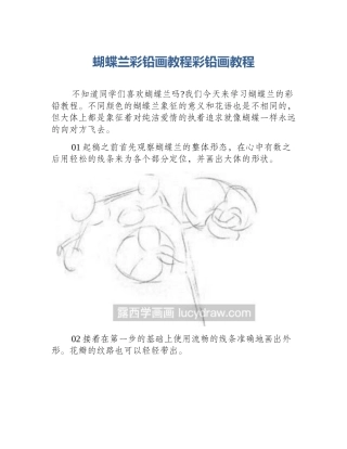 蝴蝶兰彩铅画教程彩铅画教程