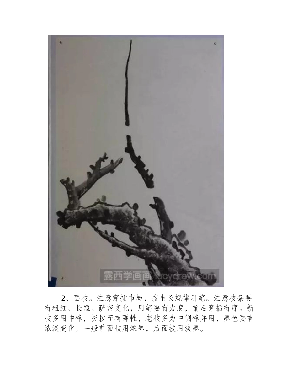 红梅国画画法，具体步骤国画教程_第2页